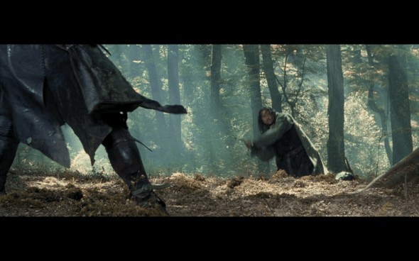 The Lord of the Rings The Fellowship of the Ring - 1736