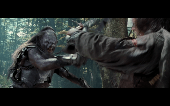 The Lord of the Rings The Fellowship of the Ring - 1738