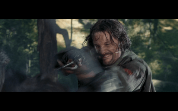 The Lord of the Rings The Fellowship of the Ring - 1739