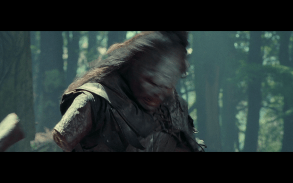 The Lord of the Rings The Fellowship of the Ring - 1741