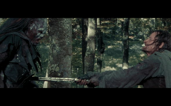 The Lord of the Rings The Fellowship of the Ring - 1742