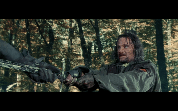 The Lord of the Rings The Fellowship of the Ring - 1743