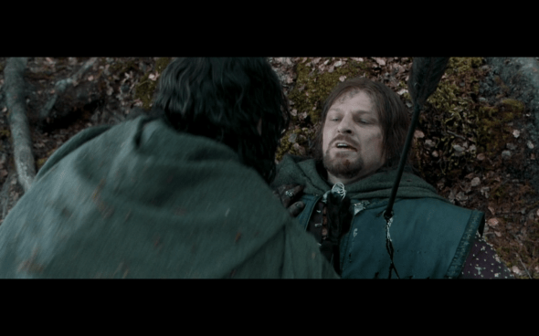 The Lord of the Rings The Fellowship of the Ring - 1751