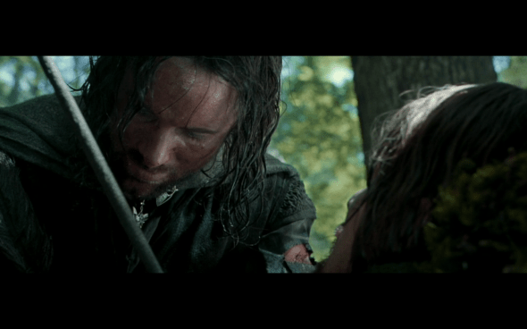 The Lord of the Rings The Fellowship of the Ring - 1752