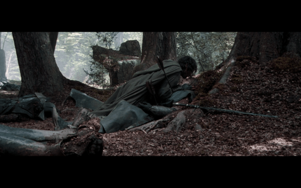 The Lord of the Rings The Fellowship of the Ring - 1764