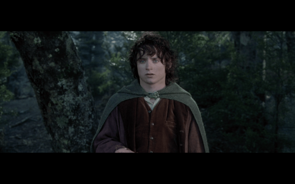 The Lord of the Rings The Fellowship of the Ring - 1766