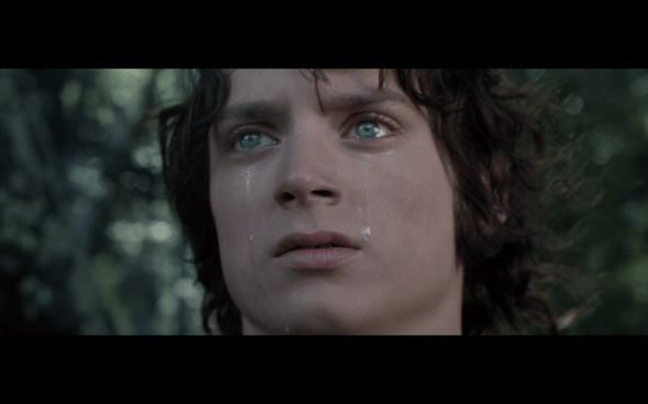 The Lord of the Rings The Fellowship of the Ring - 1769