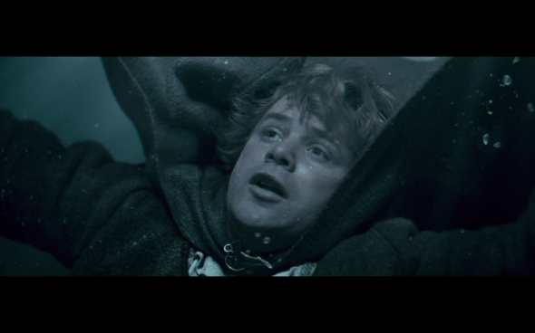 The Lord of the Rings The Fellowship of the Ring - 1784