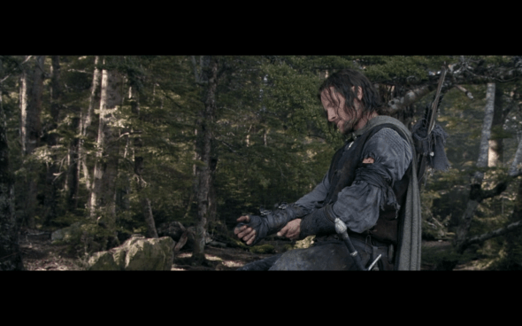 The Lord of the Rings The Fellowship of the Ring - 1803