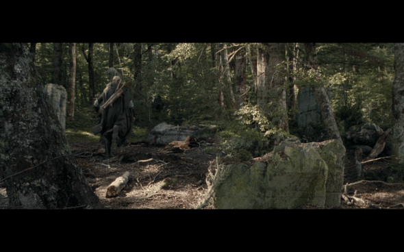 The Lord of the Rings The Fellowship of the Ring - 1817