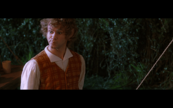 The Lord of the Rings The Fellowship of the Ring - 213