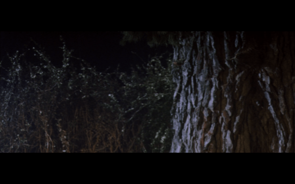 The Lord of the Rings The Fellowship of the Ring - 259