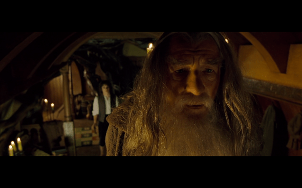 The Lord of the Rings The Fellowship of the Ring - 324