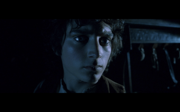 The Lord of the Rings The Fellowship of the Ring - 355