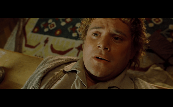 The Lord of the Rings The Fellowship of the Ring - 395