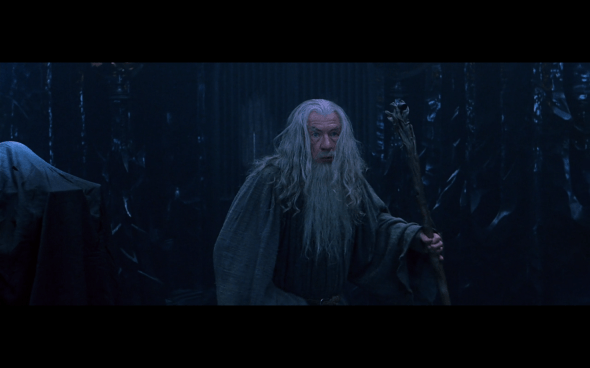 The Lord of the Rings The Fellowship of the Ring - 455