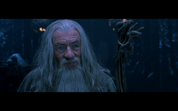 The Lord of the Rings The Fellowship of the Ring - 461