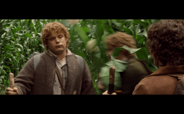 The Lord of the Rings The Fellowship of the Ring - 506