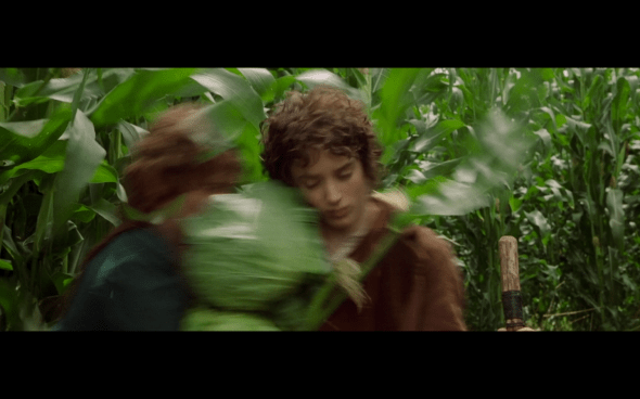 The Lord of the Rings The Fellowship of the Ring - 507