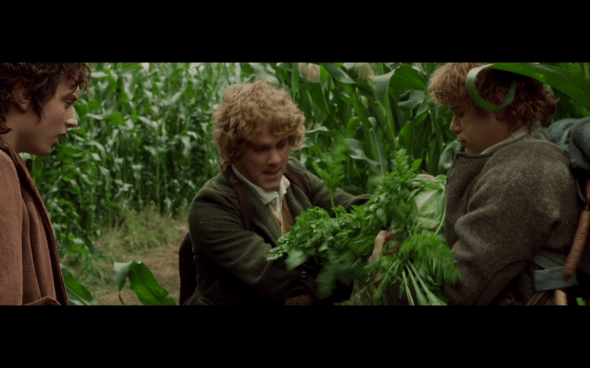 The Lord of the Rings The Fellowship of the Ring - 509