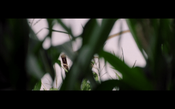 The Lord of the Rings The Fellowship of the Ring - 510