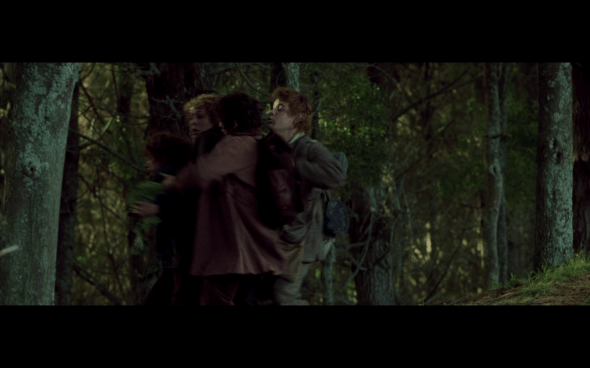 The Lord of the Rings The Fellowship of the Ring - 514