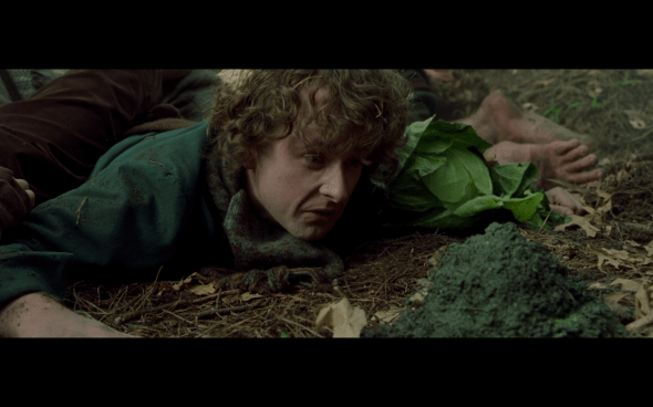 The Lord of the Rings The Fellowship of the Ring - 516