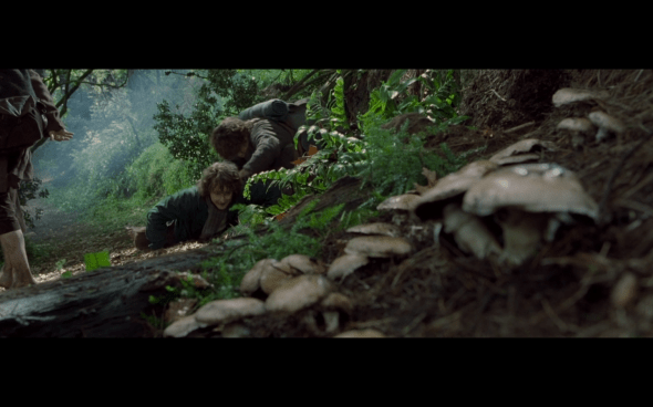 The Lord of the Rings The Fellowship of the Ring - 517