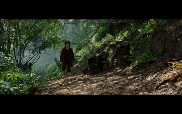 The Lord of the Rings The Fellowship of the Ring - 518