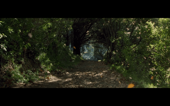 The Lord of the Rings The Fellowship of the Ring - 521