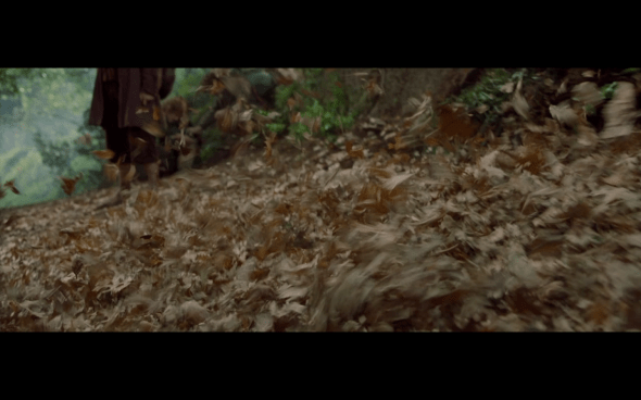 The Lord of the Rings The Fellowship of the Ring - 523