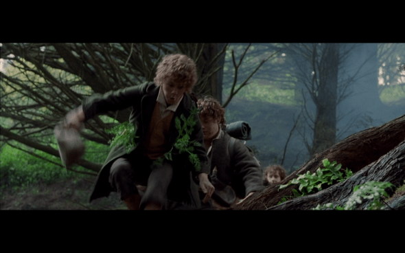 The Lord of the Rings The Fellowship of the Ring - 526