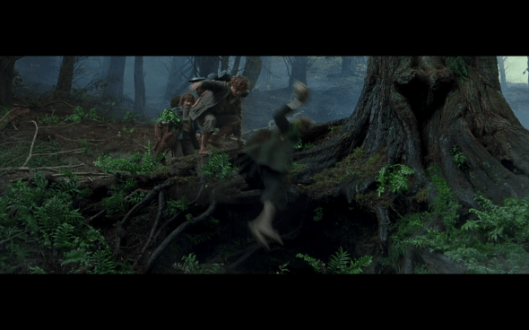 The Lord of the Rings The Fellowship of the Ring - 527