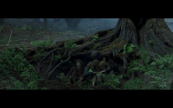 The Lord of the Rings The Fellowship of the Ring - 528