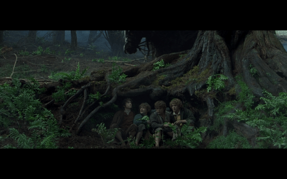 The Lord of the Rings The Fellowship of the Ring - 529