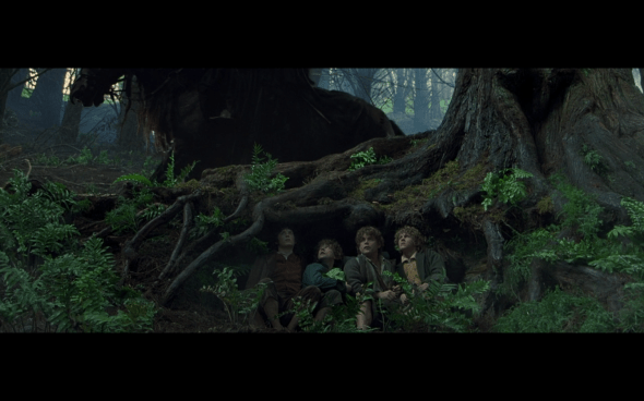 The Lord of the Rings The Fellowship of the Ring - 530