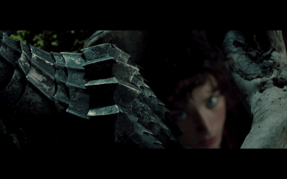 The Lord of the Rings The Fellowship of the Ring - 539