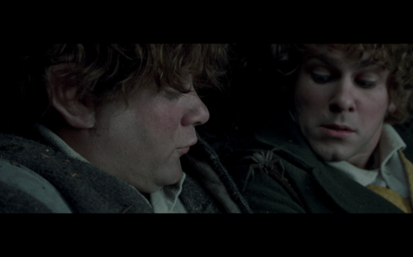 The Lord of the Rings The Fellowship of the Ring - 541