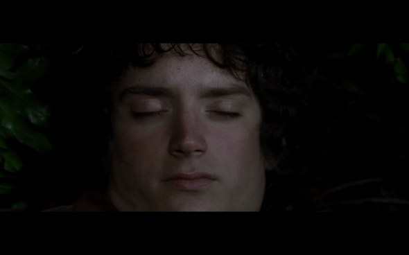 The Lord of the Rings The Fellowship of the Ring - 545