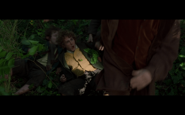 The Lord of the Rings The Fellowship of the Ring - 552