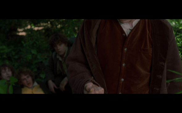 The Lord of the Rings The Fellowship of the Ring - 553