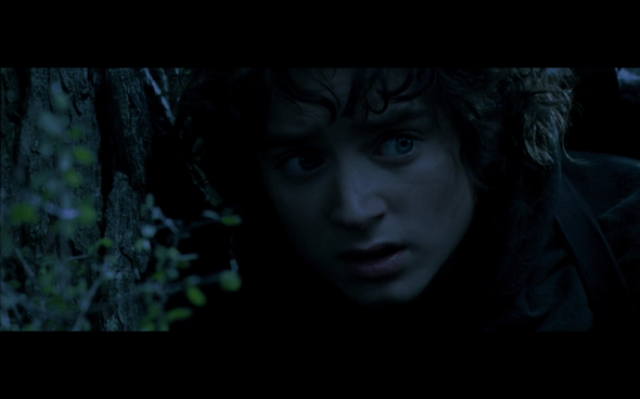 The Lord of the Rings The Fellowship of the Ring - 561
