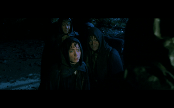 The Lord of the Rings The Fellowship of the Ring - 581
