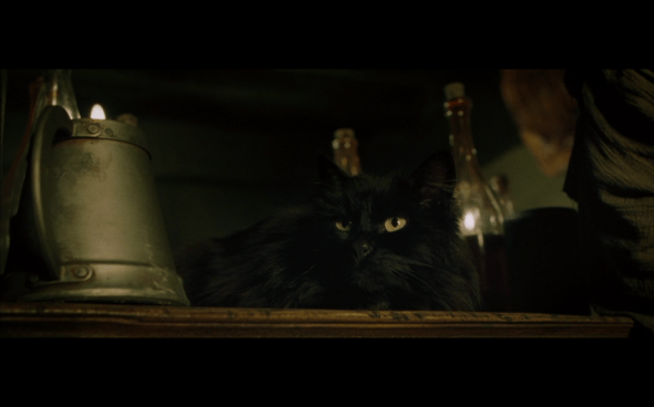 The Lord of the Rings The Fellowship of the Ring - 594