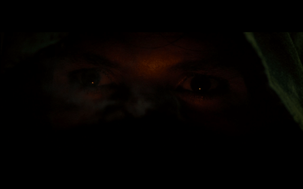 The Lord of the Rings The Fellowship of the Ring - 601