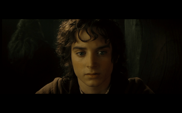 The Lord of the Rings The Fellowship of the Ring - 602