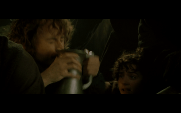 The Lord of the Rings The Fellowship of the Ring - 611