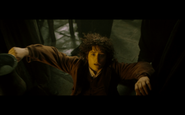 The Lord of the Rings The Fellowship of the Ring - 613