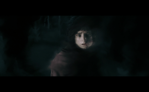 The Lord of the Rings The Fellowship of the Ring - 629