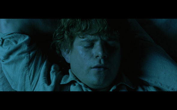 The Lord of the Rings The Fellowship of the Ring - 667